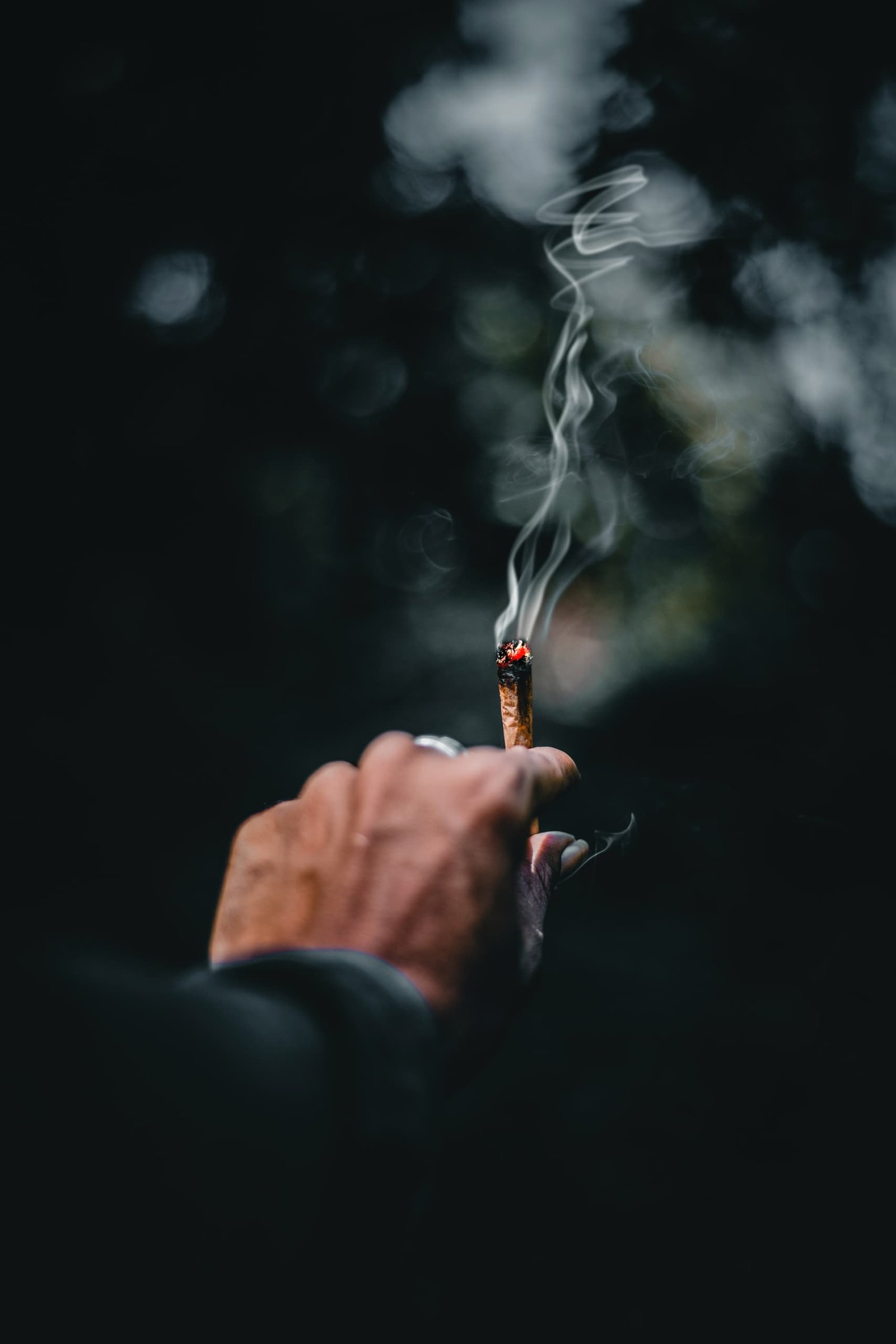 ganja-glam-blog-ahmed-zayan-4msfw7Pe1iU-unsplash