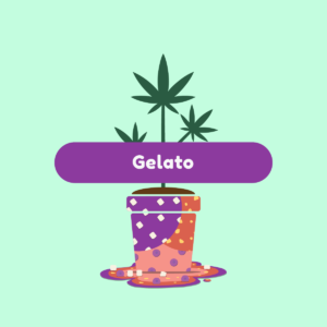 ganja-glam-gelato