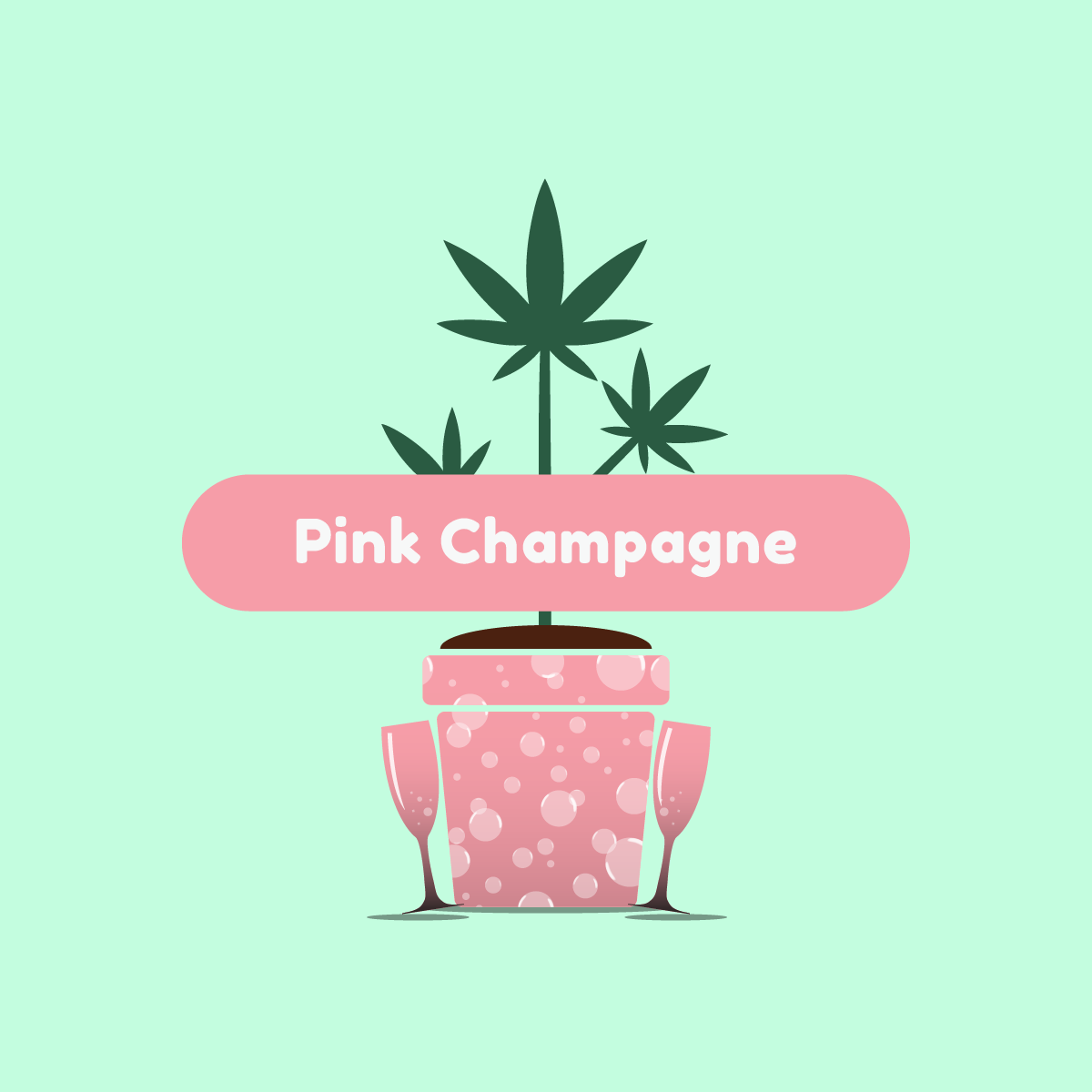 ganja-glam-pink-champagne