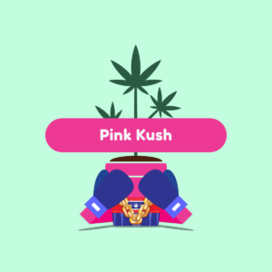 ganja-glam-pink-kush