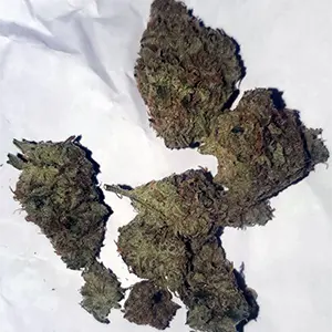 ganja-glam-product-review-sage-n-sour-mtl-cannabis-300px