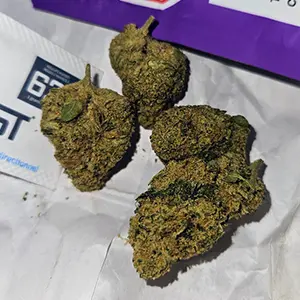 ganja-glam-reviews-the-loud-plug-exotic-gas-300px