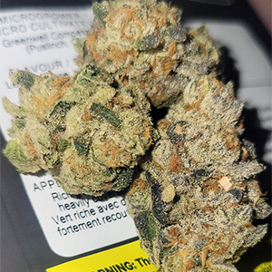 ganja-glam-cannabis-reviews-ontario-micro-growers-loudmouth-by-greenwell-300px