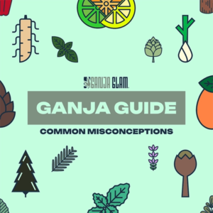 ganja-glam-ganja-guide-common-cannabis-terpenes-600px