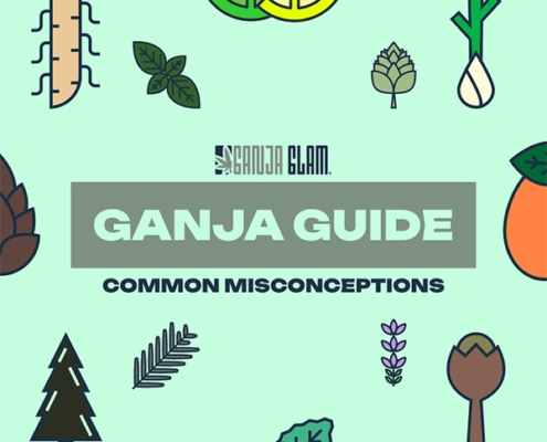 ganja-glam-ganja-guide-common-cannabis-terpenes-600px