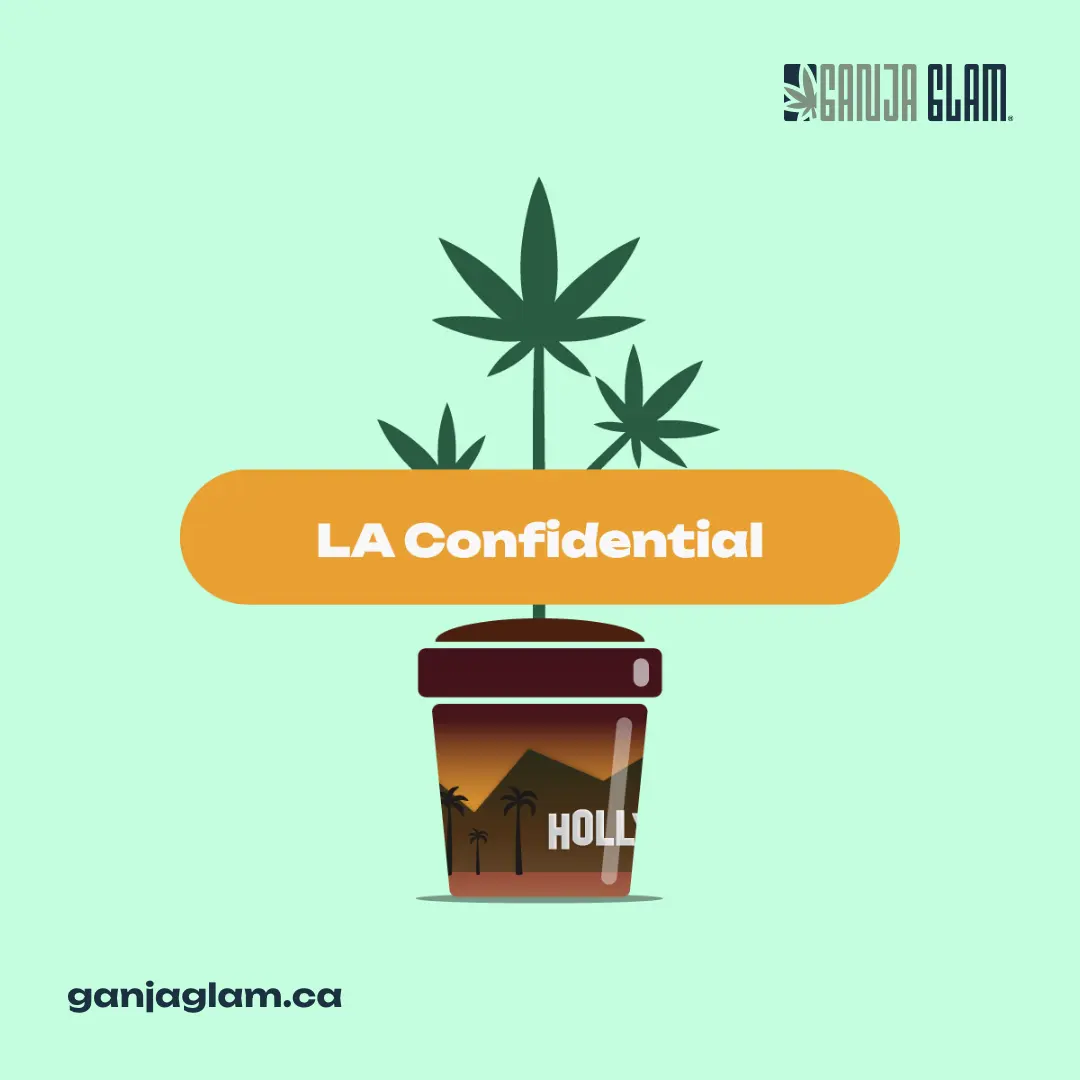 ganja-glam-ganja-guide-common-cannabis-terpenes-pinenela-confidential