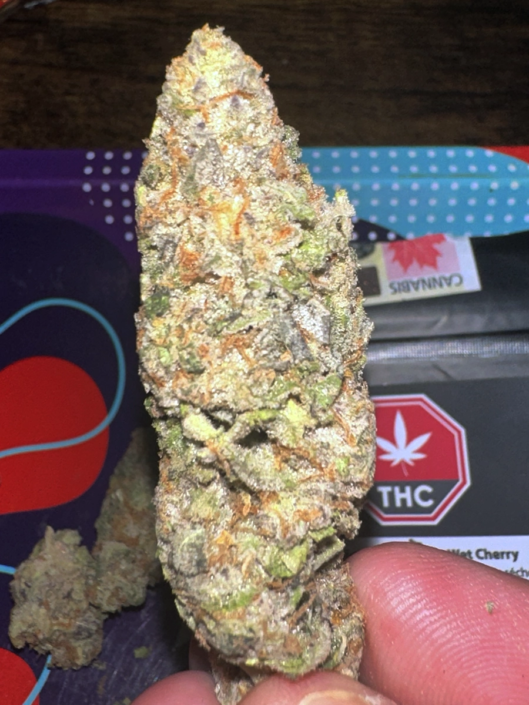 ganja-glam-product-review-frost-cannabis-rotational-strain-wet-cherry-014