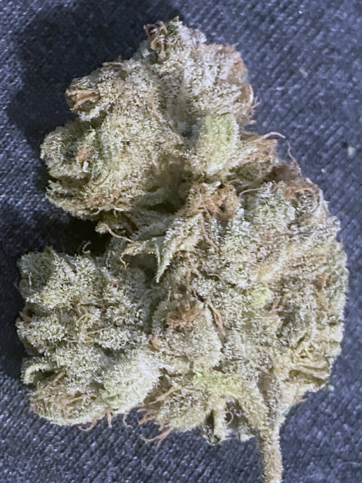 ganja-glam-product-review-east-coast-dankz-review-1