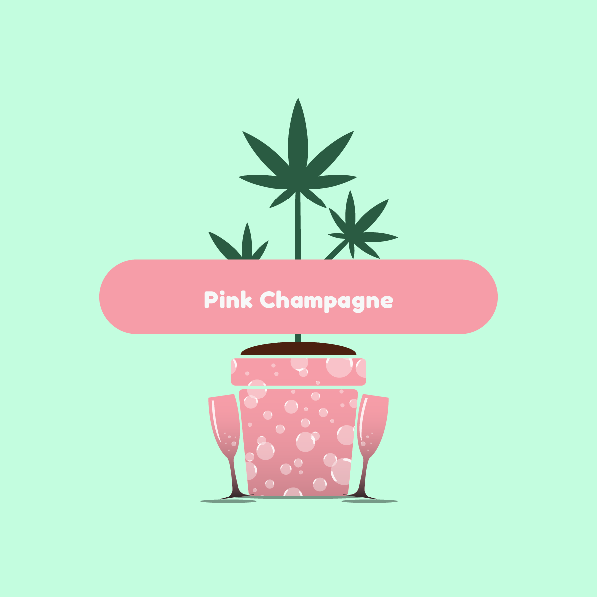 ganja-glam-pink-champagne