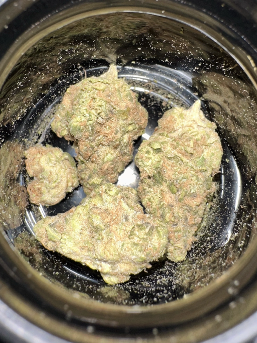 ganja-glam-reviews-xk-candy-kush-0