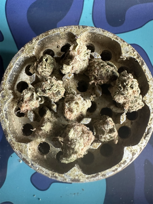 ganja-glam-reviews-xk-candy-kush-10