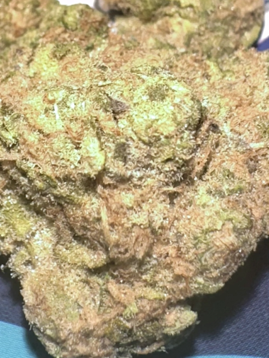 ganja-glam-reviews-xk-candy-kush-6