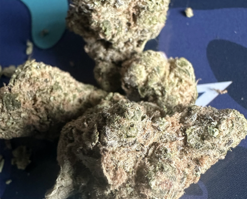 ganja-glam-reviews-xk-candy-kush-8