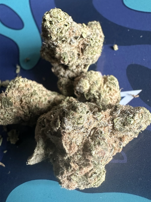 ganja-glam-reviews-xk-candy-kush-8